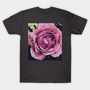 Pink rose T-Shirt